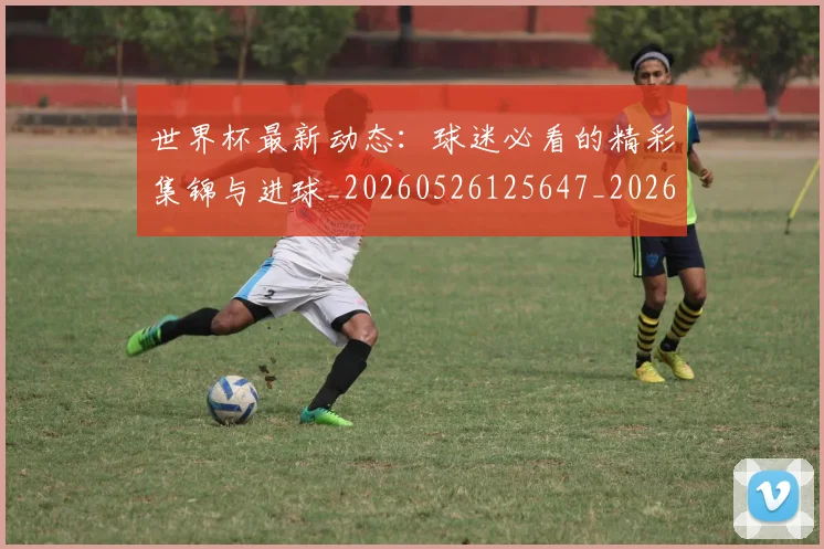 世界杯最新动态:球迷必看的精彩集锦与进球_20260526125647_20260715191219