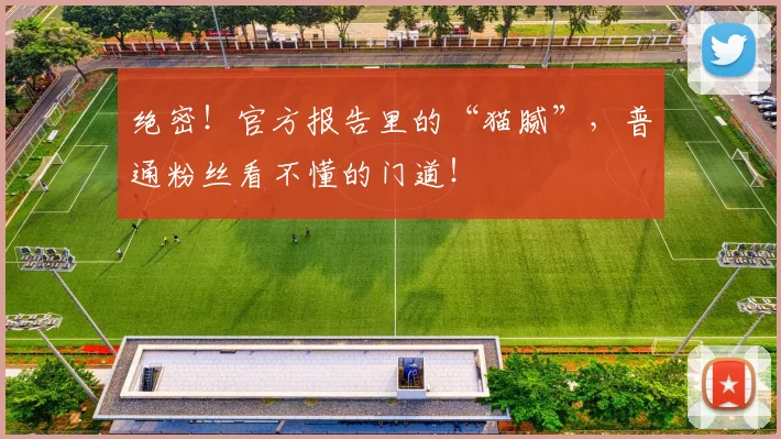 绝密！官方报告里的“猫腻”，普通粉丝看不懂的门道！