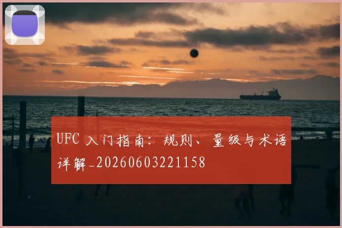 UFC 入门指南：规则、量级与术语详解_20260603221158