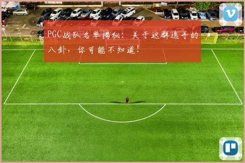 PGC战队名单揭秘：关于这群选手的八卦，你可能不知道！