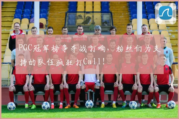 PGC冠军榜争夺战打响,粉丝们为支持的队伍疯狂打Call!