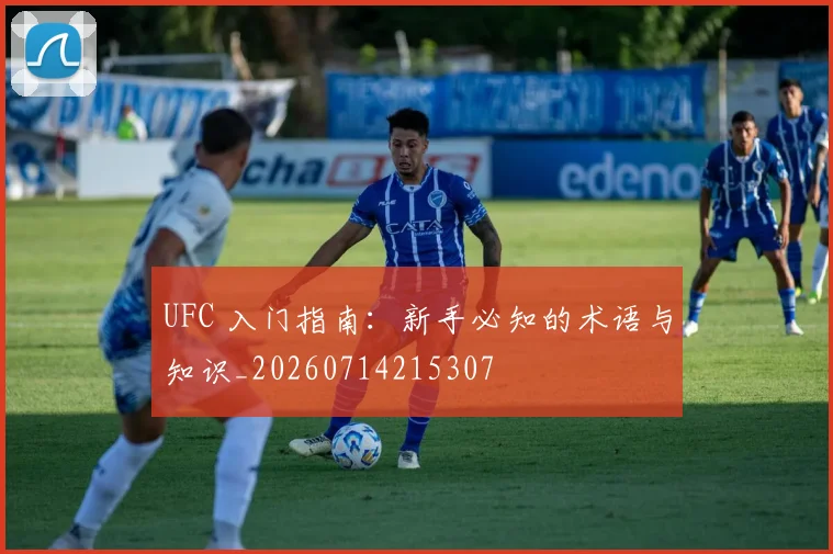UFC 入门指南:新手必知的术语与知识_20260714215307