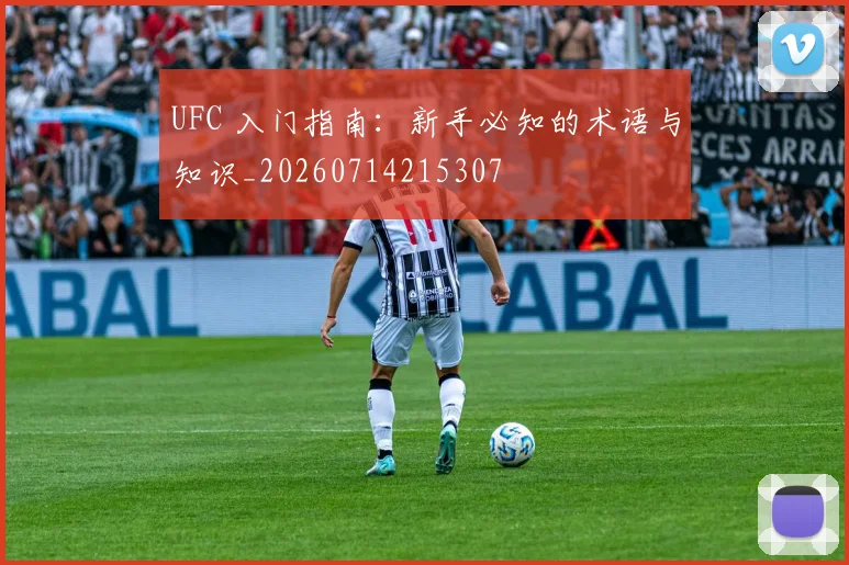 UFC 入门指南：新手必知的术语与知识_20260714215307